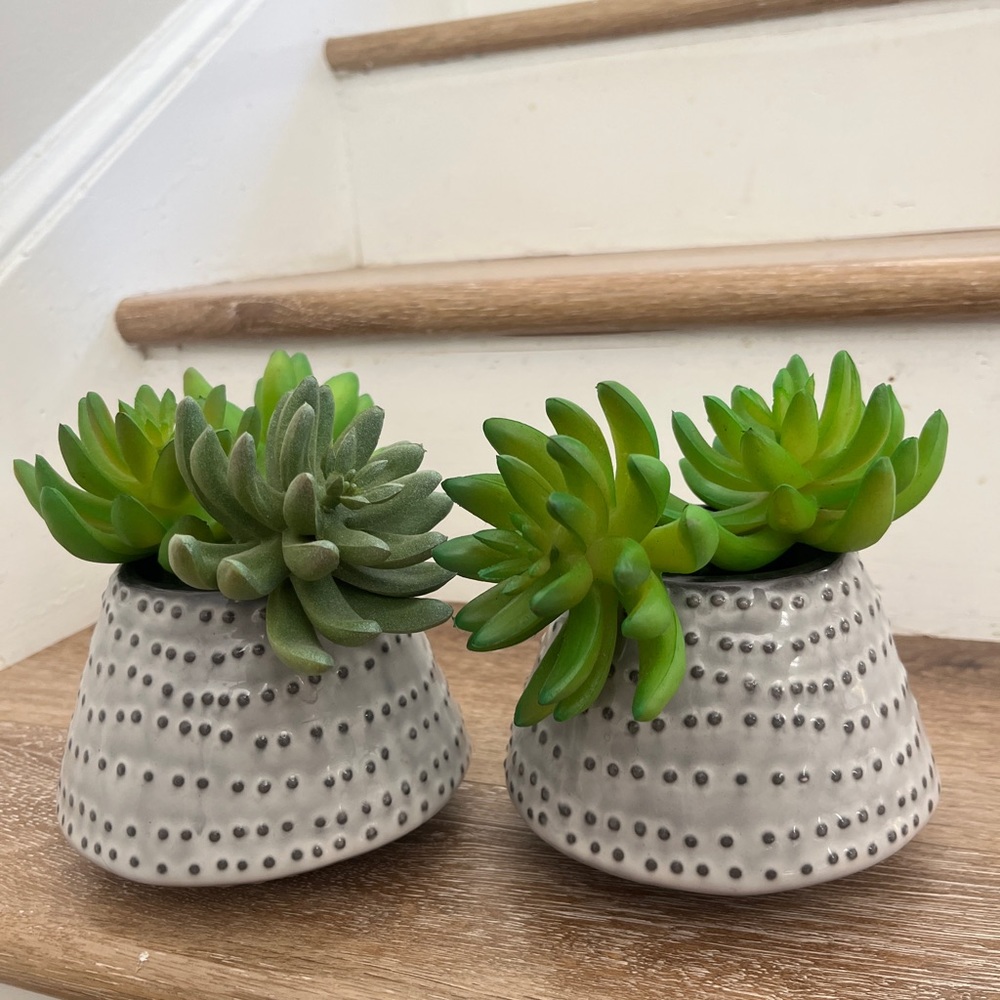 Nate Berkus for Target Grey Vases w/ Faux Succulents